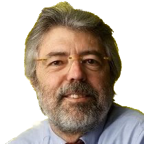 Avatar picture of Giulio Sandini